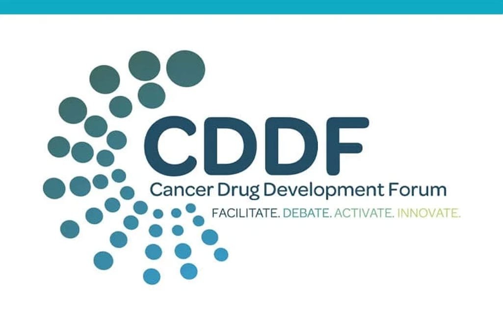 Community and Communication Coordinator CDDF - (Brussels)
