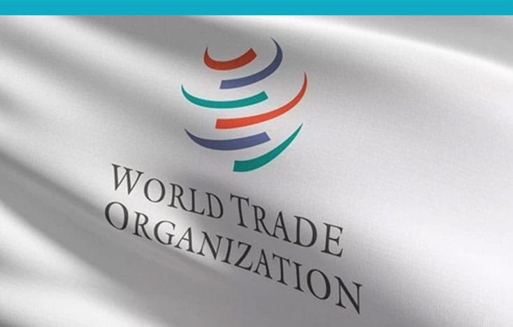 Head of Procurement | World Trade Organization (WTO)